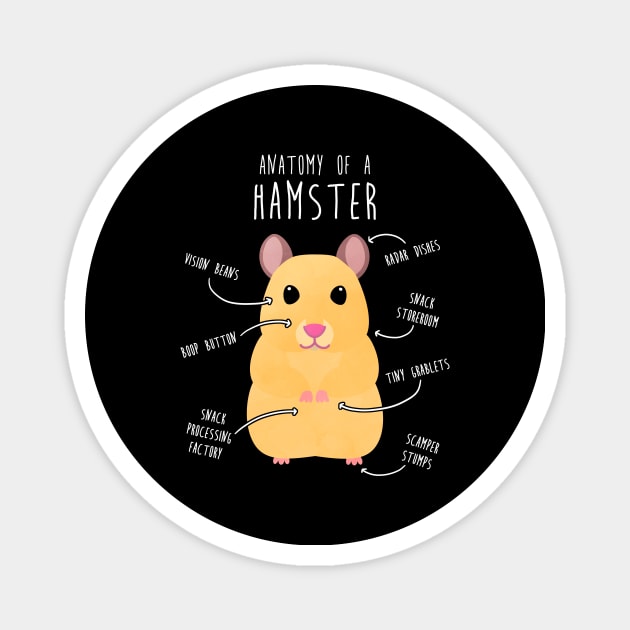 Golden Syrian Hamster Anatomy Magnet by Psitta